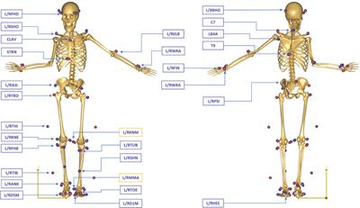 Prediction of ground reaction forces and moments during walking in children with cerebral palsy